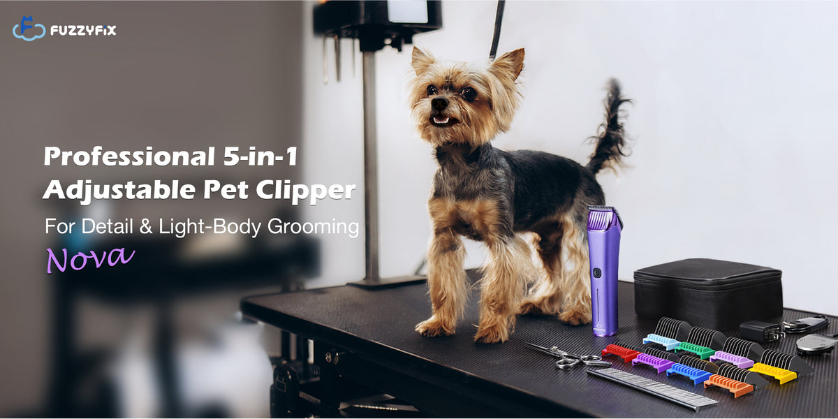 FUZZYFIX | Fuzzy Pets? Fix It with FuzzyFix!