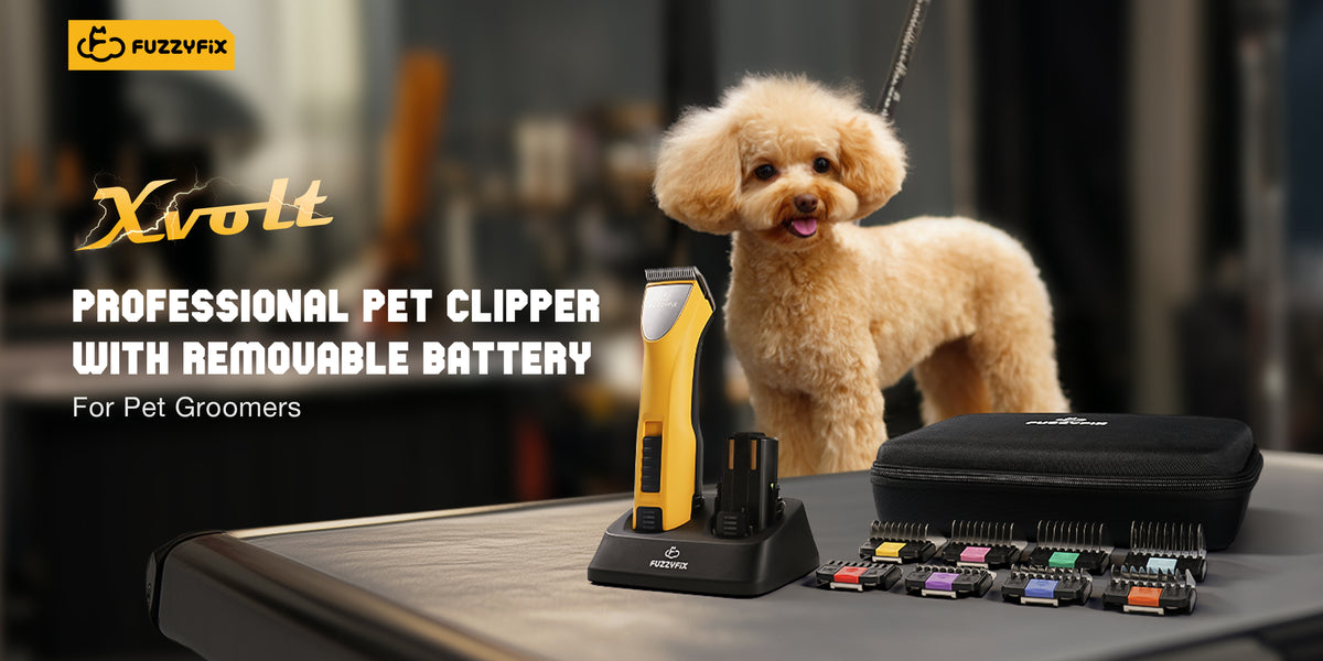 FUZZYFIX | Fuzzy Pets? Fix It with FuzzyFix!