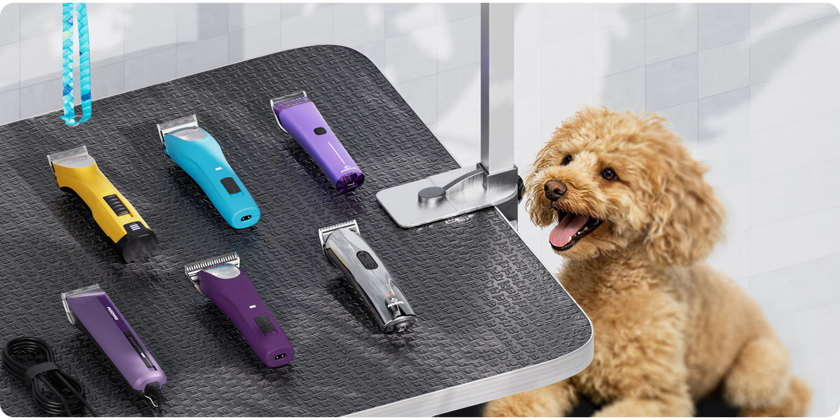 FUZZYFIX | Fuzzy Pets? Fix It with FuzzyFix!